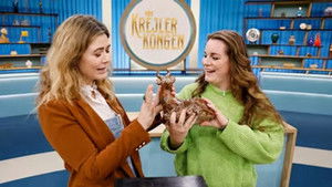 Poster for Episode 29