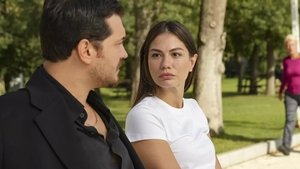 Poster for Episode 17 Poster for Episode 17