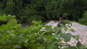 Poster for Episode 42