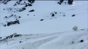 Poster for Episode 7 Poster for Episode 7