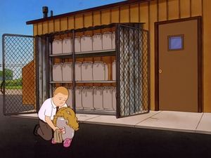 Poster for The Miseducation of Bobby Hill