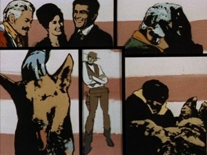 Poster for The Night of the Wolf