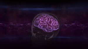 Poster for Decoding the Brain Poster for Decoding the Brain