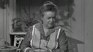 Poster for Aunt Bee's Brief Encounter