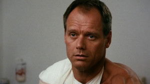 Poster for Rape and Revenge (1)