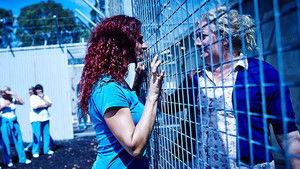 Poster for Jail Birds