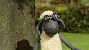 Poster for Ewe've Been Framed