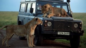 Poster for Chasing Big Cats