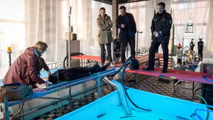 Poster for Episode 4