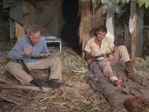 Poster for Disaster in the Everglades (2) Poster for Disaster in the Everglades (2)