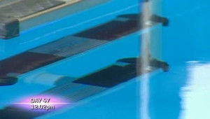 Poster for Day 47 Highlights Poster for Day 47 Highlights