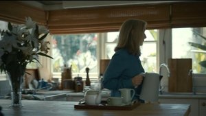 Poster for Gray Starling Poster for Gray Starling