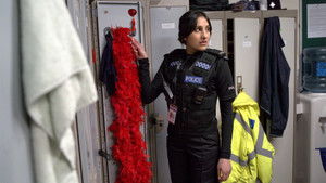 Poster for The Paulster