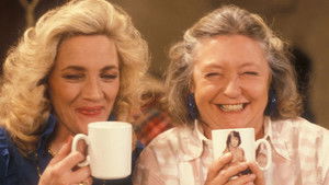 Poster for The Charity Shop