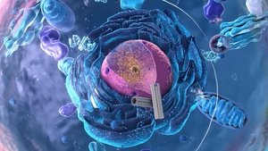 Poster for Did An Ancient Pathogen Reshape Our Cells?