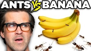 Poster for Ants vs. Food (Game)