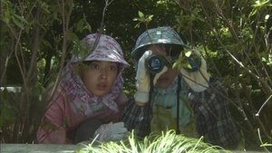 Poster for A Fork in the Path of Love