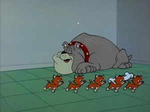 Poster for The Kitten Sitters Poster for The Kitten Sitters