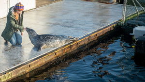 Poster for Episode 1