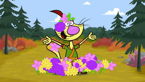 Poster for Nature Cat and Mr. Hide Poster for Nature Cat and Mr. Hide