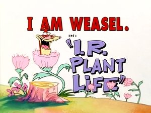 Poster for I.R. Plant Life