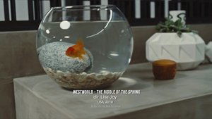 Poster for Reveal, Memory, Time