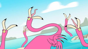 Poster for Needs, Rights and Flamingo Fights Poster for Needs, Rights and Flamingo Fights