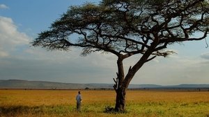 Poster for The Serengeti Rules