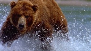 Poster for Walking with Giants: The Grizzlies of Siberia