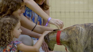 Poster for Episode 7