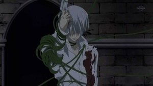 Poster for Vampire Knight