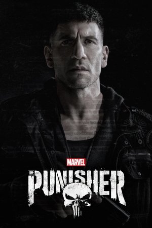 Marvel's The Punisher Marvel's The Punisher