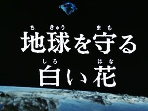 Poster for The White Flower That Protects Earth