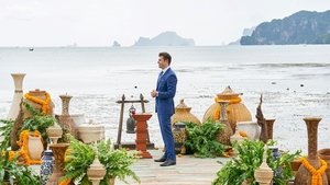 Poster for Finale and After the Final Rose