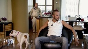 Poster for Undercover cop