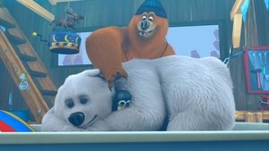 Poster for Bear Family