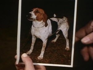 Poster for Little Dog, Gone