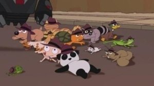 Poster for Animal Agents