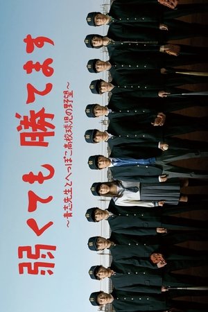 Baseball Brainiacs Baseball Brainiacs