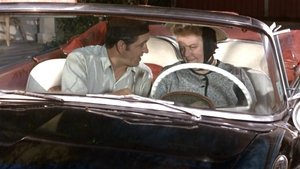Poster for Aunt Bee Learns to Drive