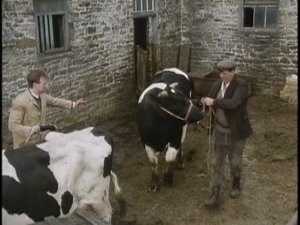 Poster for The Bull with the Bowler Hat