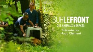 Poster for Animals in danger