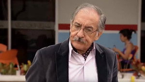 Poster for Old old fox