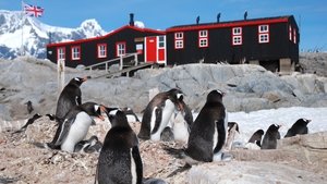 Poster for Penguin Post Office