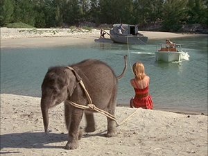 Poster for Flipper and the Elephant (2)