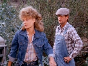 Poster for A Boy's Best Friend