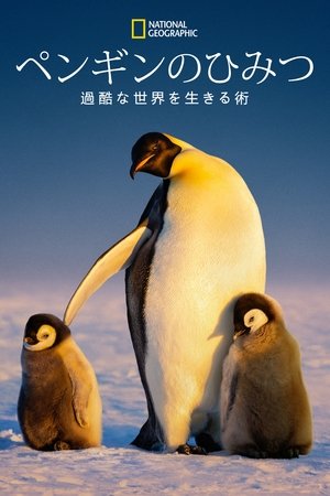 ペンギンのひみつ：過酷な世界を生きる術