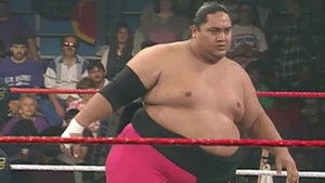 Poster for Sunday Night Slam - Nov. 20, 1994