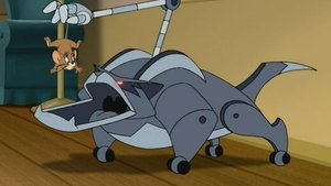 Poster for Tin Cat of Tomorrow/Beefcake Tom/Tomcat Superstar Poster for Tin Cat of Tomorrow/Beefcake Tom/Tomcat Superstar