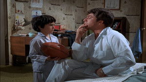 Poster for The Mod Couple